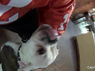 Capri Cavanni Says, 'Fuck My Pussy Hard.'