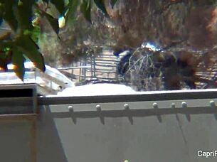 Capri Cavanni Says, 'Fuck My Pussy Hard.'