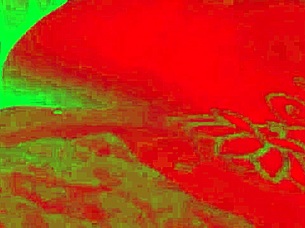 Exhibition in the BATHROOM during PHOTO SHOOT