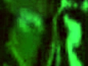 Vintage Interracial Taboo Scene