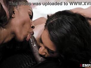 amari, anne, and zoey sinn enjoy a playful session