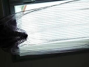 petite black girl gives blowjob to big cock