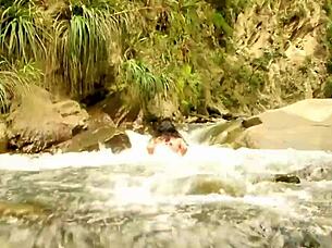 Waiting For Alpha Male