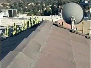 Felicity feline on set and s compilation 1 pg13