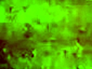 Up close and personal view