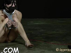 Does extreme t excite the sweetheart?