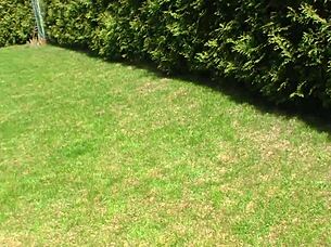 German Chick's Wet Pussy Awaits Big Pole Action