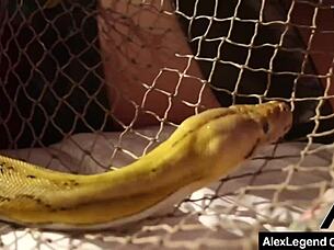 Roleplay time: Minotaur bangs Viking Nicole Aniston