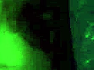 Want to see this rough gangbang with bondage and hot blowjobs?