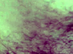 A voyeur observes the events taking place on the rooftop in this story.