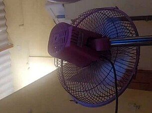 Cute latina with small tits and big ass.