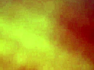 Beautiful Latina Asses Getting Worshipped Intensely