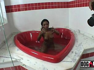 samira ferraz and fabio lavatti behind scenes tease