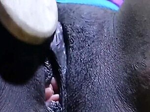 신디 블랙슬레이브가 클로즈업 에보니 면도 보지 플레이로 자극해.