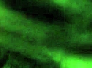 My Slut Wife Loves To Suck Dick Deepthroat.