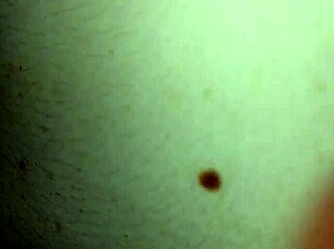 My wife Sarah's small tits and pussy