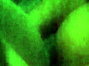 sami, do you want a tribute to your big tits and pussy?