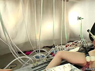 Lesbians masturbate and anal fucks with toys and dildos in hardcore scene