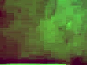 I gave my chef a blowjob as a gift, experiencing first anal with big black cock.