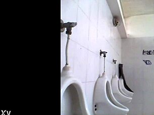 Detailed View Of European Public Toilet In High Definition