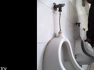 Detailed View Of European Public Toilet In High Definition