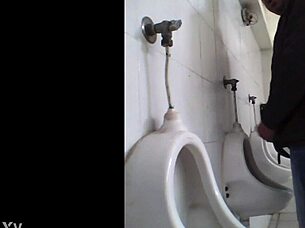 Detailed View Of European Public Toilet In High Definition