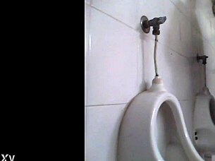 Detailed View Of European Public Toilet In High Definition