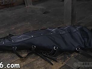 Harsh whipping for enchanting gal.