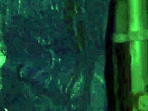 anya olsen in extreme dp gangbang outdoor 😈 rough fucking fest