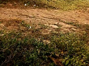 Gay Masturbation Video From 2016