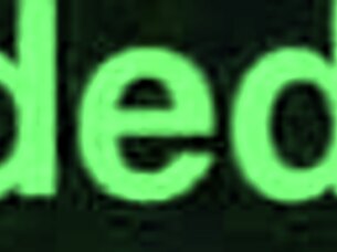 ebony bbw gives sloppy blowjob to big black cock