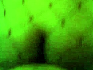 ebony rides in cowgirl position