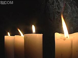 Ninja Adventures in Japanese Anime Style