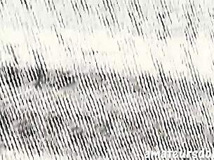 An asian jock joins an amateur group for a cum-eating and bareback foursome adventure