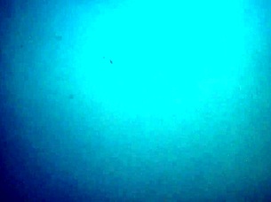 i love this loira's tasty ass and pussy