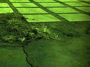 Bound girl orgasms in gangbang, or are you joining?