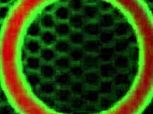 mexican maid gets double teamed