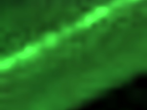 Let's Play TTTP Demo Featuring Big Ass And Tits. BBW fat body in hardcore action.