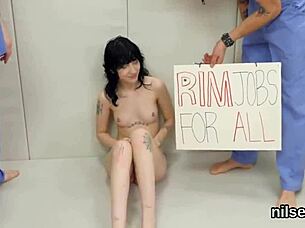 Wacky Kitten Endures Painful Anal Treatment in Madhouse