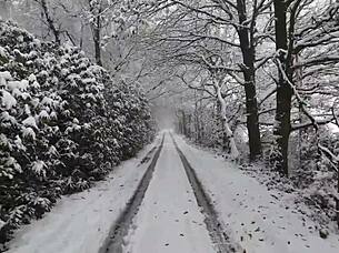 i saw the chick with huge ass recieved