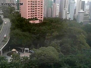 Maid cleans the house