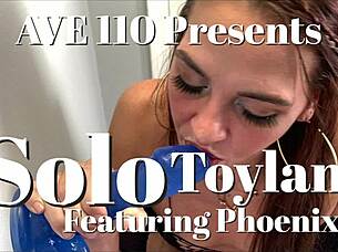 Toyland Episode 2: Sweet and Hard Adventures