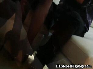 This classy babe gets licked and fucked in lingerie