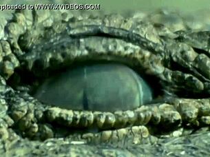 Croc sexy bikini girl! Look at her in that hot bikini!