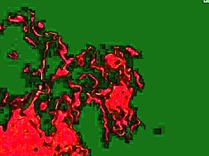 Watch this hentai anime with asian japanese characters fucking wildly!