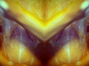 Look At This Mirror Image Milf Shower With Sensual Massage