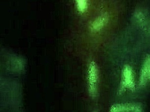 Lesha Shares Her Daily Routine in a Relaxed Narrative