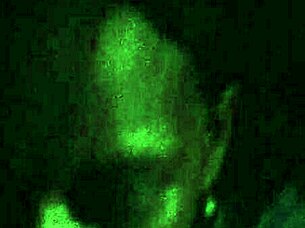 Lesha Shares Her Daily Routine in a Relaxed Narrative