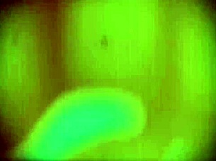 I love this big booty bikini babe outdoors.