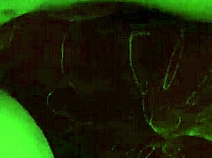 mr jonez makes lilsquirt1733 squirt wetly in close up, but is it real?